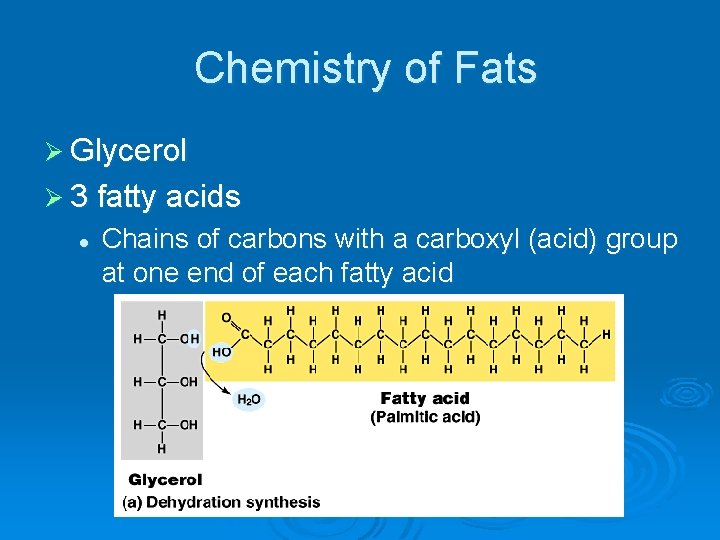 Chemistry of Fats Ø Glycerol Ø 3 fatty acids l Chains of carbons with