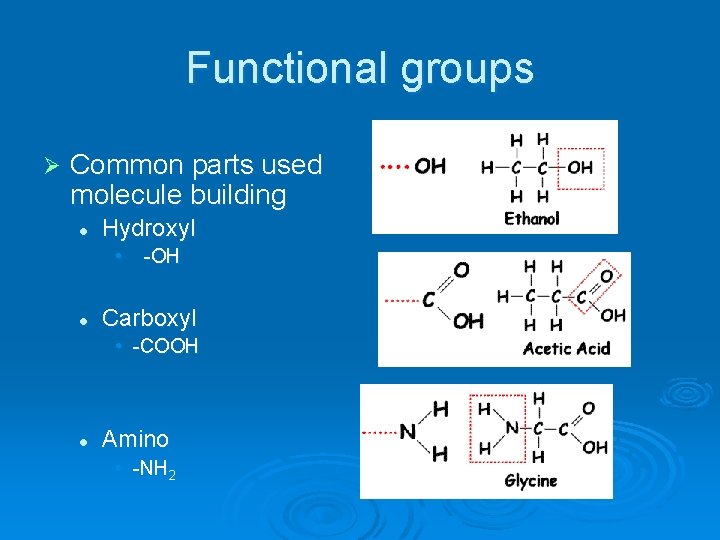 Functional groups Ø Common parts used molecule building l Hydroxyl • l -OH Carboxyl