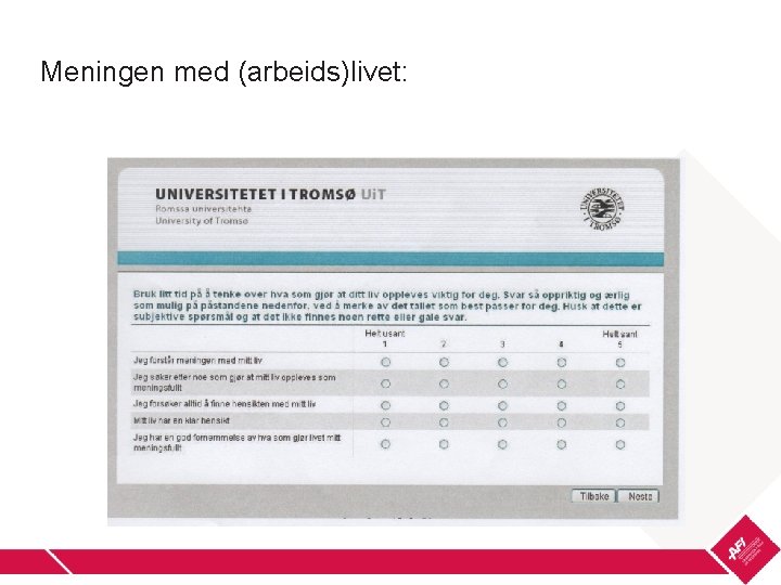 Meningen med (arbeids)livet: 