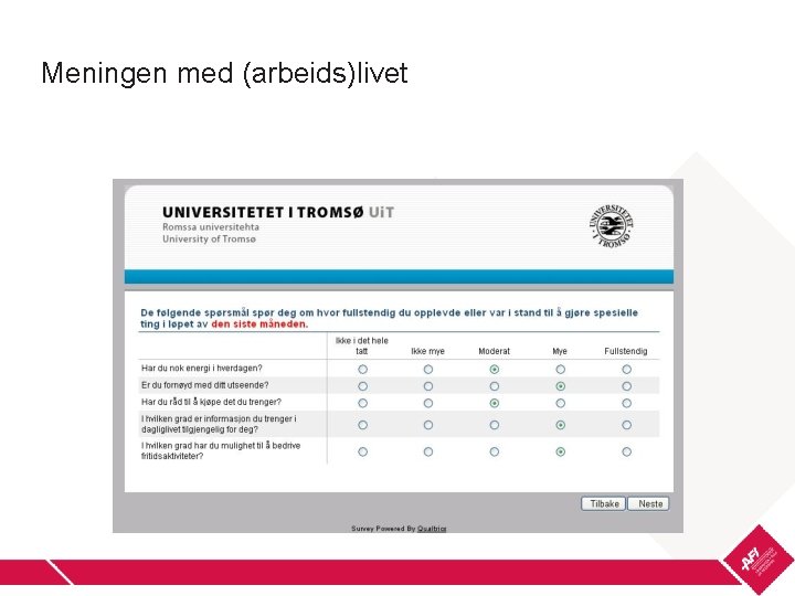 Meningen med (arbeids)livet 