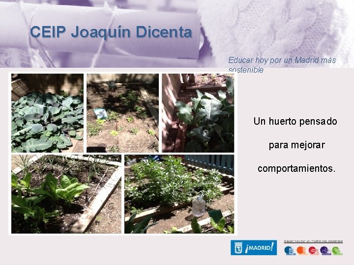 CEIP Joaquín Dicenta Educar hoy por un Madrid más sostenible Un huerto pensado para