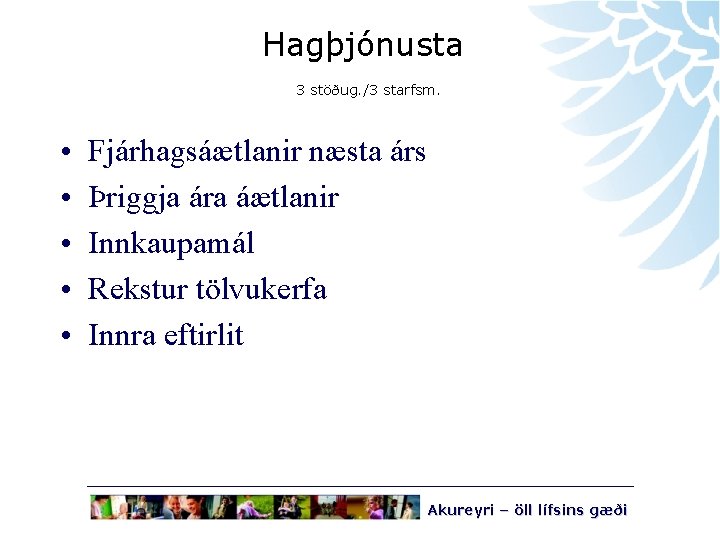 Hagþjónusta 3 stöðug. /3 starfsm. • • • Fjárhagsáætlanir næsta árs Þriggja ára áætlanir