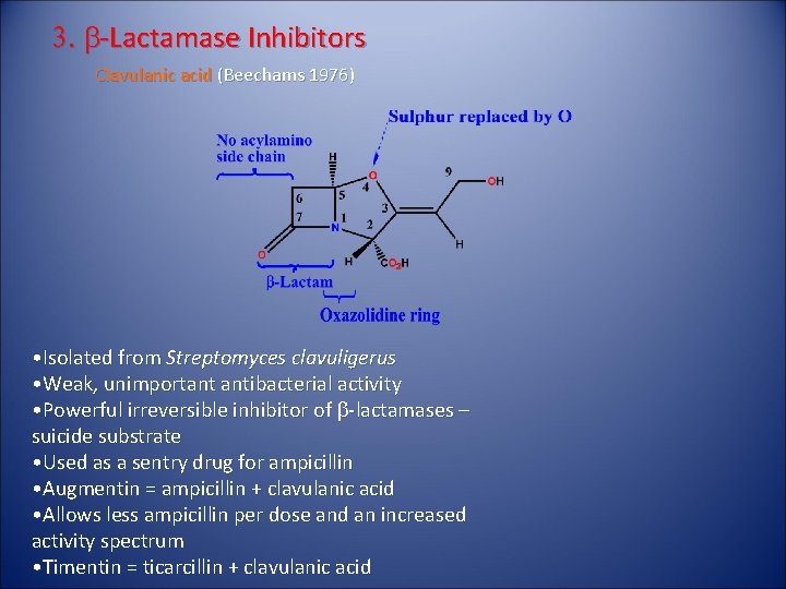3. b-Lactamase Inhibitors Clavulanic acid (Beechams 1976) • Isolated from Streptomyces clavuligerus • Weak,