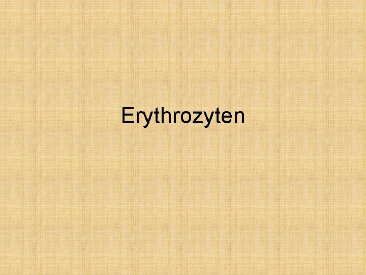 Erythrozyten 