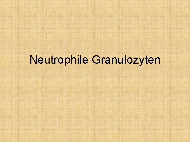 Neutrophile Granulozyten 