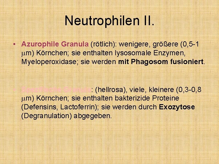 Neutrophilen II. • Azurophile Granula (rötlich): wenigere, größere (0, 5 -1 mm) Körnchen; sie