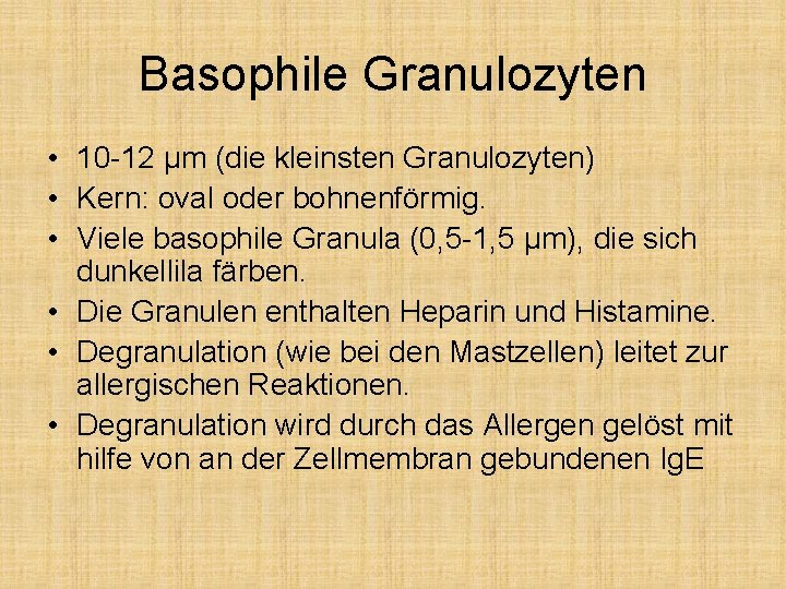 Basophile Granulozyten • 10 -12 μm (die kleinsten Granulozyten) • Kern: oval oder bohnenförmig.
