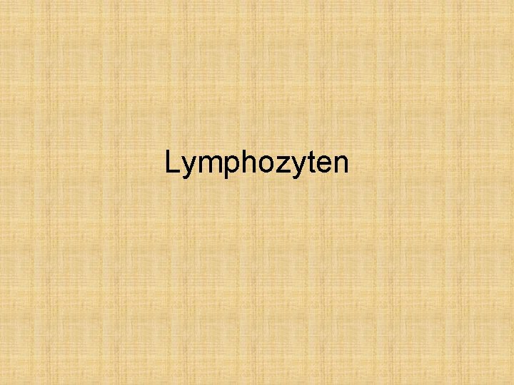 Lymphozyten 