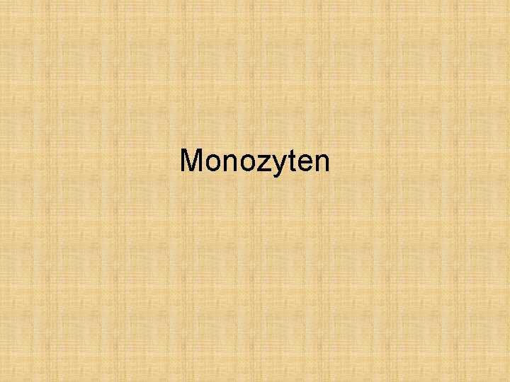 Monozyten 