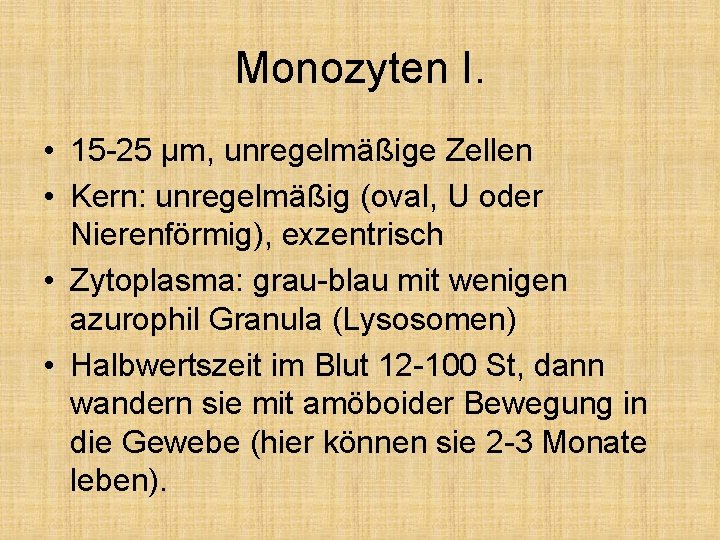 Monozyten I. • 15 -25 μm, unregelmäßige Zellen • Kern: unregelmäßig (oval, U oder