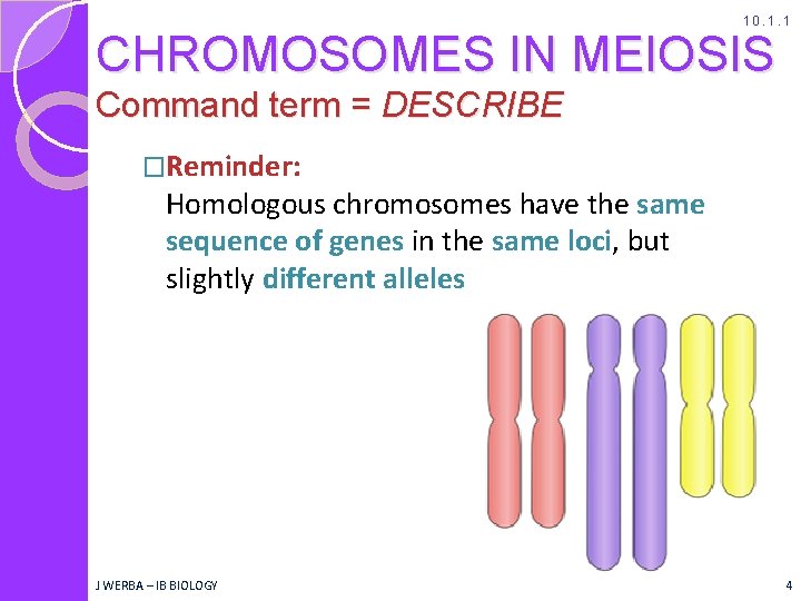 10. 1. 1 CHROMOSOMES IN MEIOSIS Command term = DESCRIBE �Reminder: Homologous chromosomes have