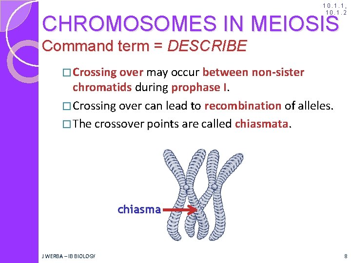 10. 1. 1, 10. 1. 2 CHROMOSOMES IN MEIOSIS Command term = DESCRIBE �