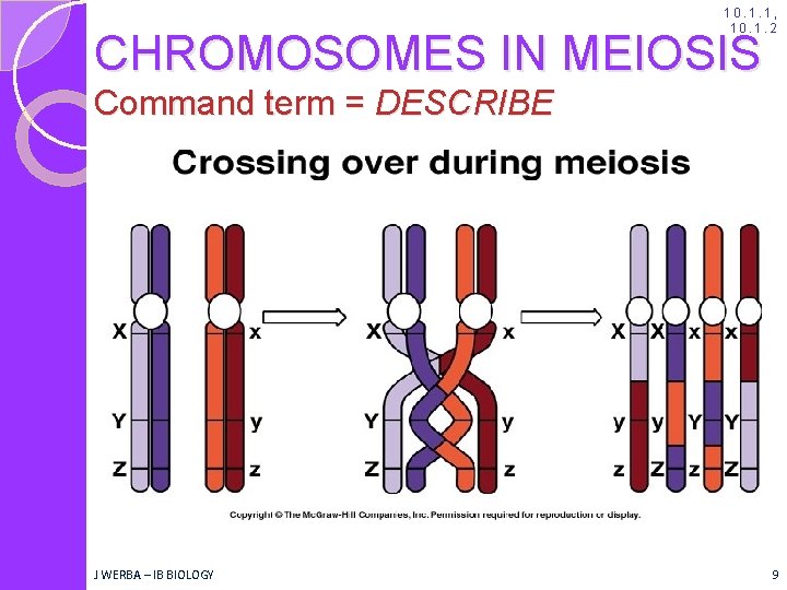 10. 1. 1, 10. 1. 2 CHROMOSOMES IN MEIOSIS Command term = DESCRIBE J