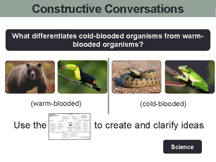 Constructive Conversations What differentiates cold-blooded organisms from warmblooded organisms? (warm-blooded) Use the (cold-blooded) to
