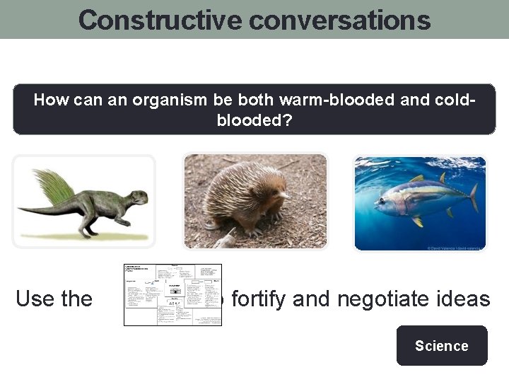 Constructive conversations How can an organism be both warm-blooded and coldblooded? Use the to