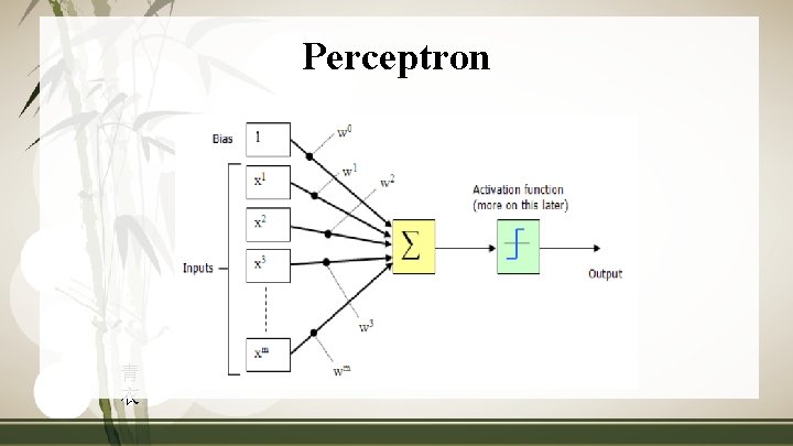 Perceptron 青 衣 