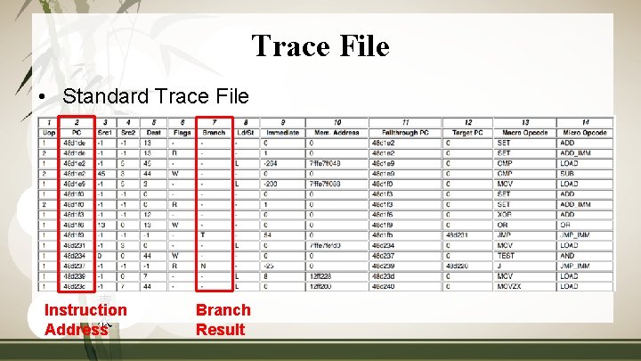 Trace File • Standard Trace File 青 Instruction 衣 Address Branch Result 
