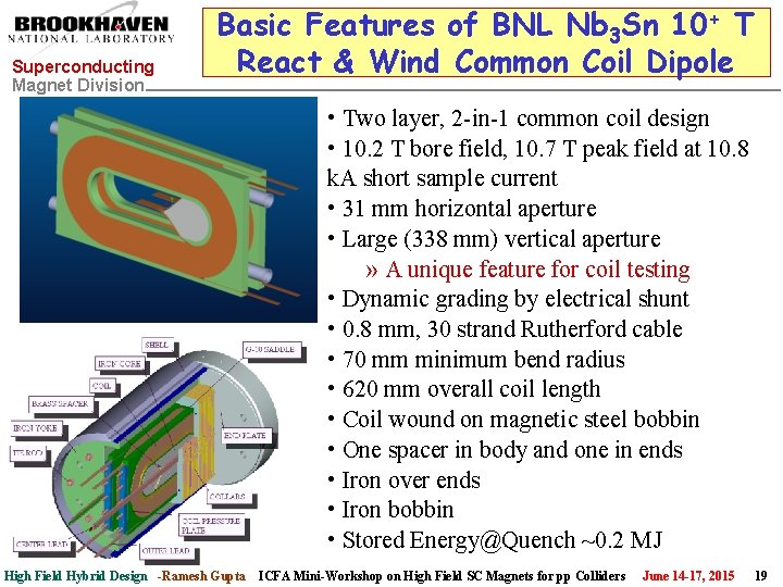 Superconducting Magnet Division Basic Features of BNL Nb 3 Sn 10+ T React &