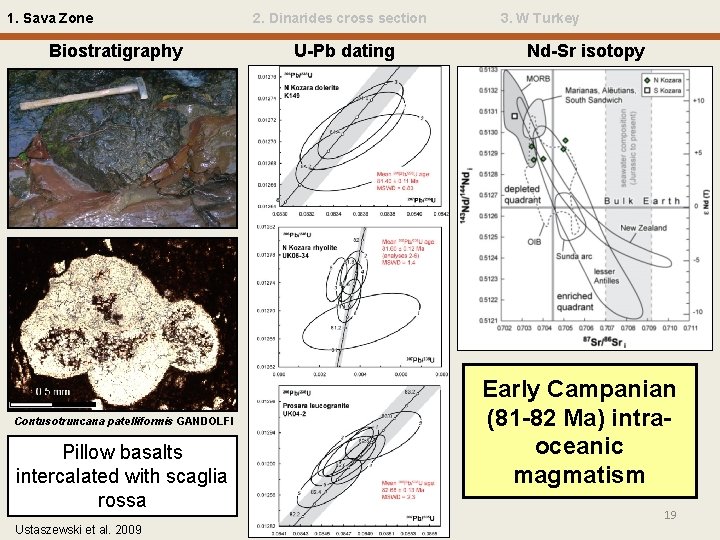 1. Sava Zone Biostratigraphy Contusotruncana patelliformis GANDOLFI Pillow basalts intercalated with scaglia rossa Ustaszewski