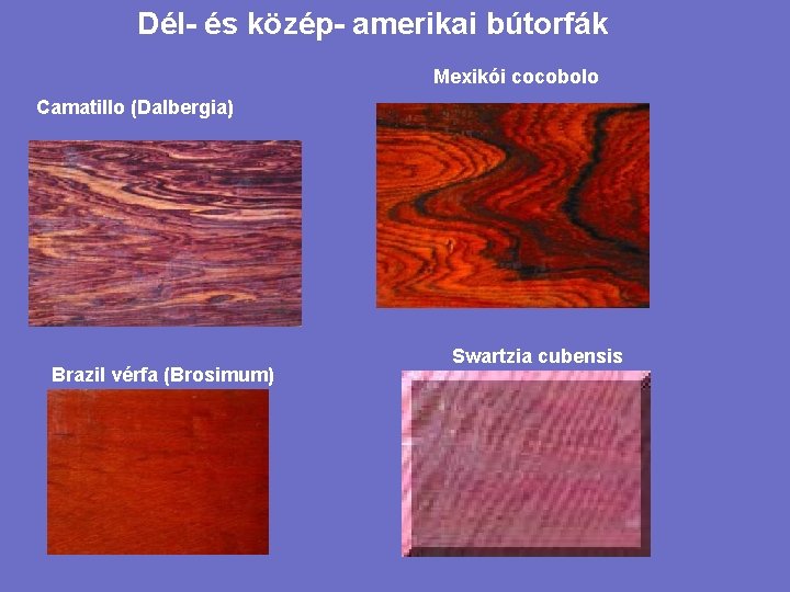 Dél- és közép- amerikai bútorfák Mexikói cocobolo Camatillo (Dalbergia) Brazil vérfa (Brosimum) Swartzia cubensis