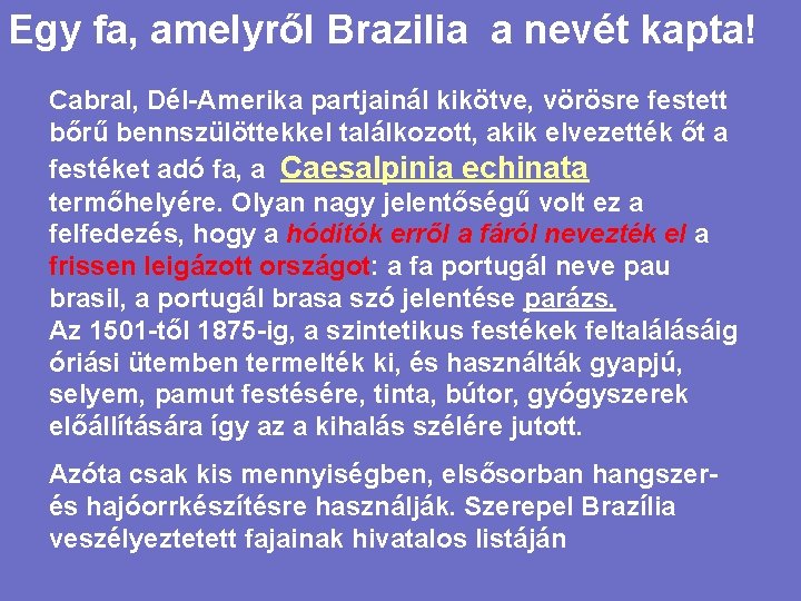 Egy fa, amelyről Brazilia a nevét kapta! Cabral, Dél-Amerika partjainál kikötve, vörösre festett bőrű