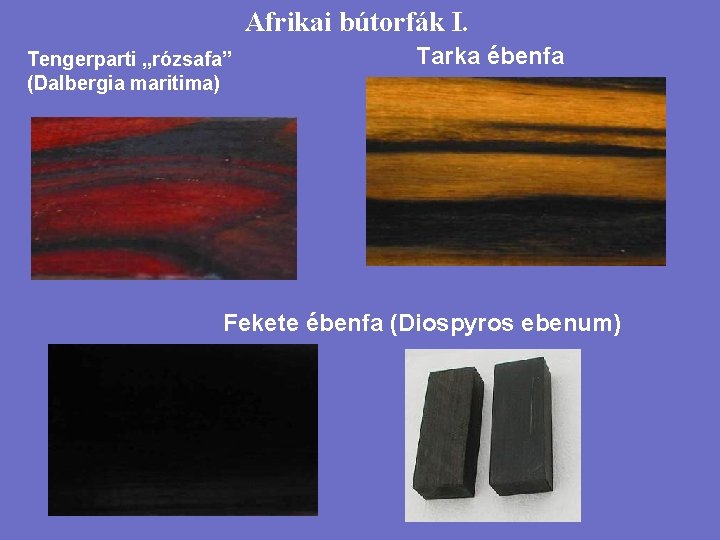 Afrikai bútorfák I. Tengerparti „rózsafa” (Dalbergia maritima) Tarka ébenfa Fekete ébenfa (Diospyros ebenum) 