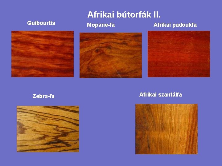 Afrikai bútorfák II. Guibourtia Zebra-fa Mopane-fa Afrikai padoukfa Afrikai szantálfa 