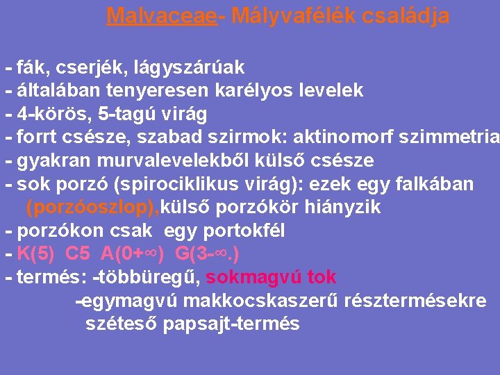 Malvaceae- Mályvafélék családja - fák, cserjék, lágyszárúak - általában tenyeresen karélyos levelek - 4