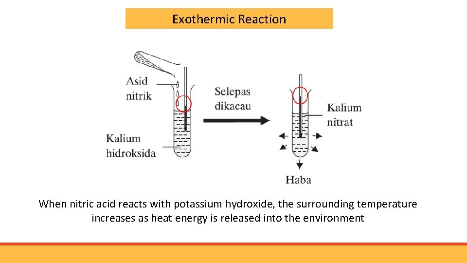 Exothermic Reaction When nitric acid reacts with potassium hydroxide, the surrounding temperature increases as