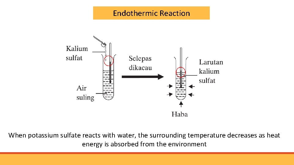 Endothermic Reaction When potassium sulfate reacts with water, the surrounding temperature decreases as heat