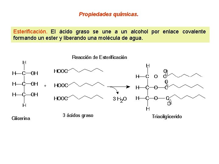 Propiedades químicas. Esterificación. El ácido graso se une a un alcohol por enlace covalente