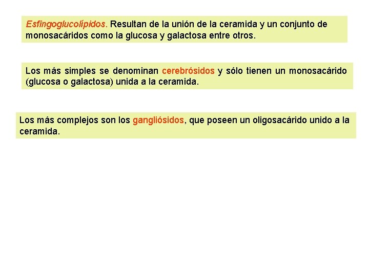 Esfingoglucolípidos. Resultan de la unión de la ceramida y un conjunto de monosacáridos como