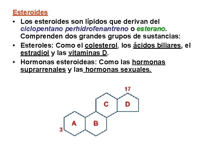 Esteroides • Los esteroides son lípidos que derivan del ciclopentano perhidrofenantreno o esterano Comprenden