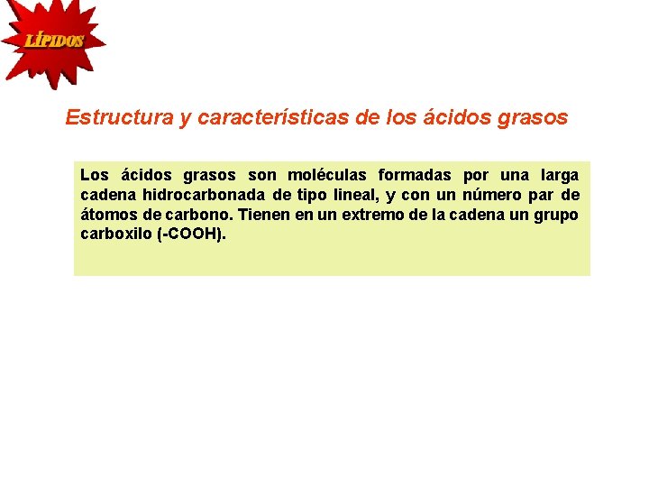 Estructura y características de los ácidos grasos Los ácidos grasos son moléculas formadas por