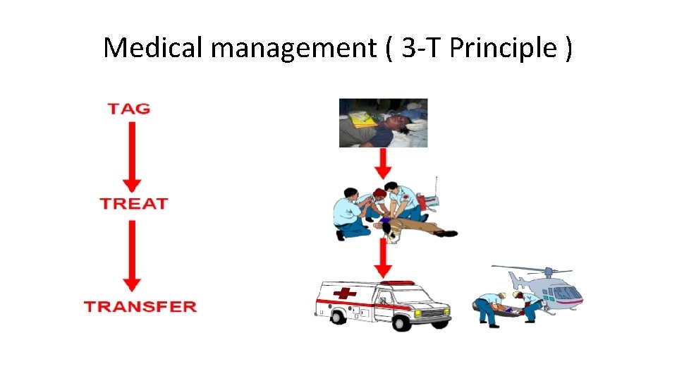 Medical management ( 3 -T Principle ) 