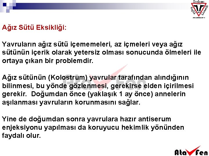 Ağız Sütü Eksikliği: Yavruların ağız sütü içememeleri, az içmeleri veya ağız sütünün içerik olarak