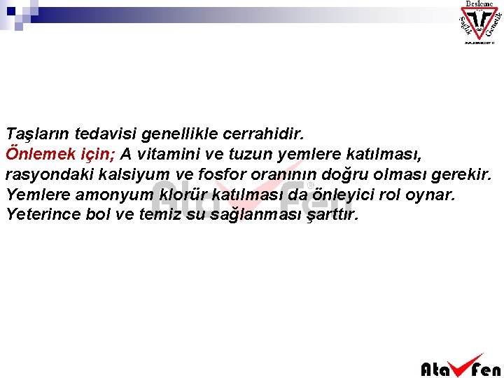 Taşların tedavisi genellikle cerrahidir. Önlemek için; A vitamini ve tuzun yemlere katılması, rasyondaki kalsiyum