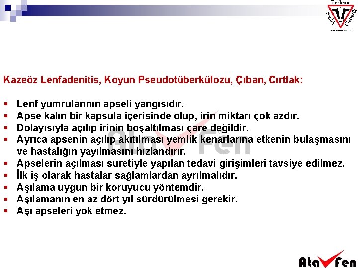 Kazeöz Lenfadenitis, Koyun Pseudotüberkülozu, Çıban, Cırtlak: § § § § § Lenf yumrularının apseli