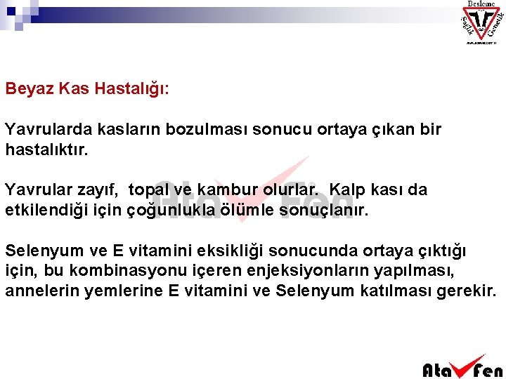 Beyaz Kas Hastalığı: Yavrularda kasların bozulması sonucu ortaya çıkan bir hastalıktır. Yavrular zayıf, topal