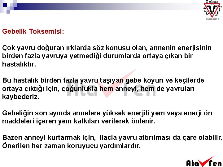 Gebelik Toksemisi: Çok yavru doğuran ırklarda söz konusu olan, annenin enerjisinin birden fazla yavruya