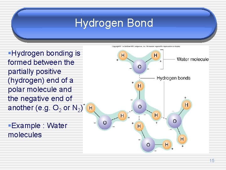 Hydrogen Bond §Hydrogen bonding is formed between the partially positive (hydrogen) end of a