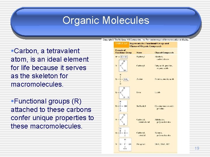 Organic Molecules §Carbon, a tetravalent atom, is an ideal element for life because it