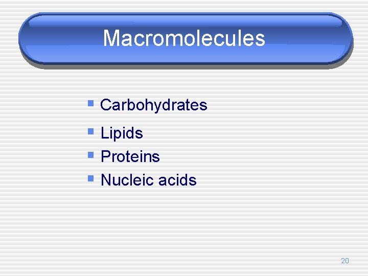 Macromolecules § Carbohydrates § Lipids § Proteins § Nucleic acids 20 
