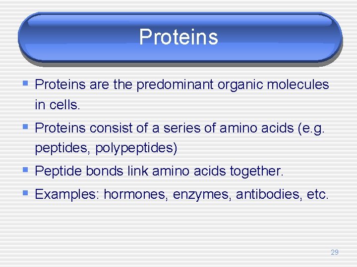 Proteins § Proteins are the predominant organic molecules in cells. § Proteins consist of