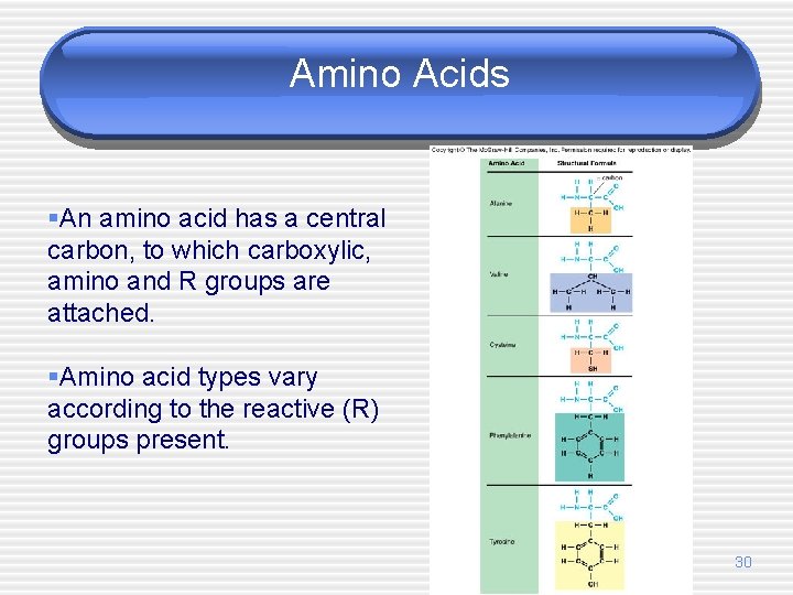 Amino Acids §An amino acid has a central carbon, to which carboxylic, amino and