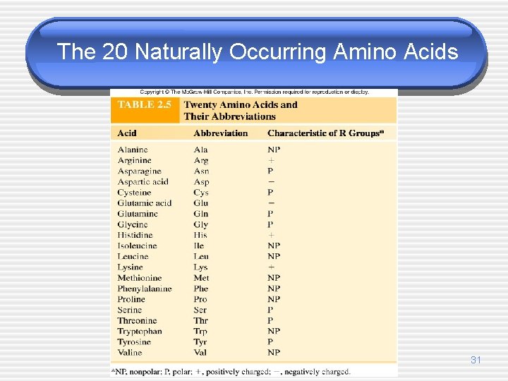 The 20 Naturally Occurring Amino Acids 31 