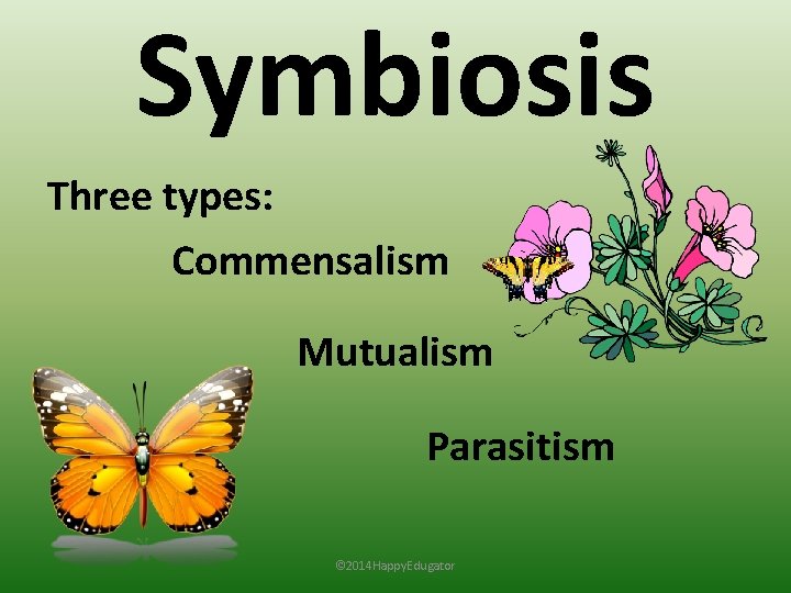 Symbiosis Three types: Commensalism Mutualism Parasitism © 2014 Happy. Edugator 
