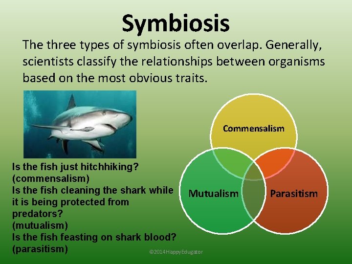 Symbiosis The three types of symbiosis often overlap. Generally, scientists classify the relationships between