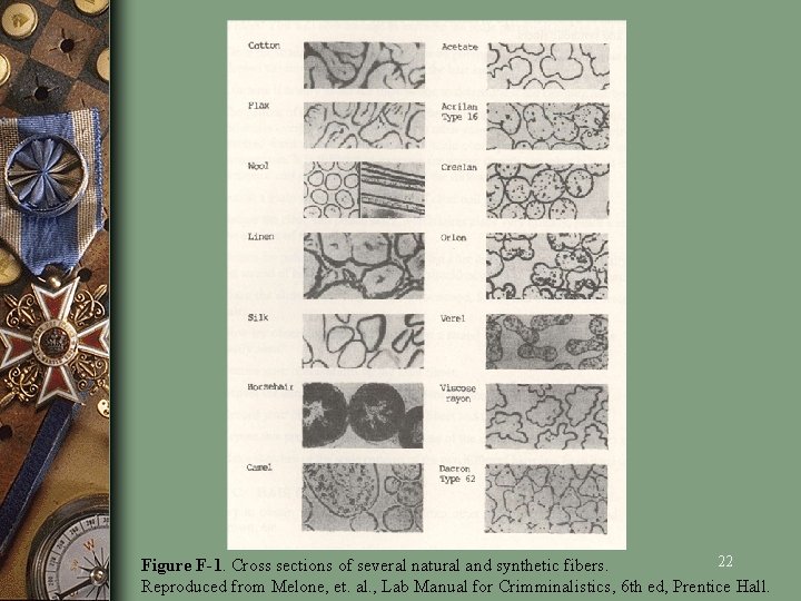 22 Figure F-1. Cross sections of several natural and synthetic fibers. Reproduced from Melone,