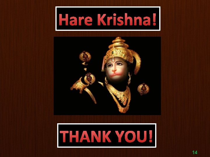 Hare Krishna! THANK YOU! 14 